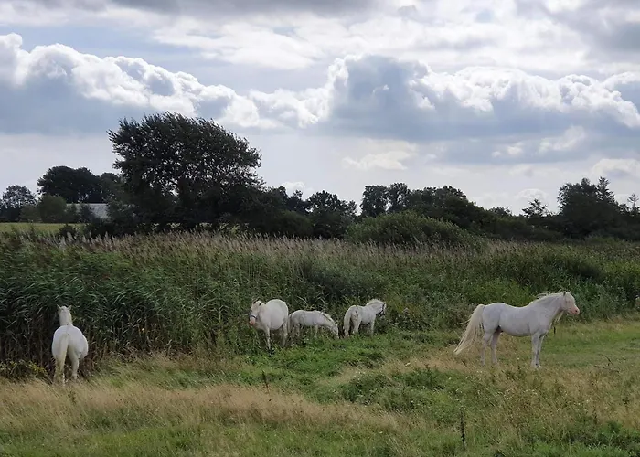 度假居 7 Person In Nordborg-by Traum 诺德堡